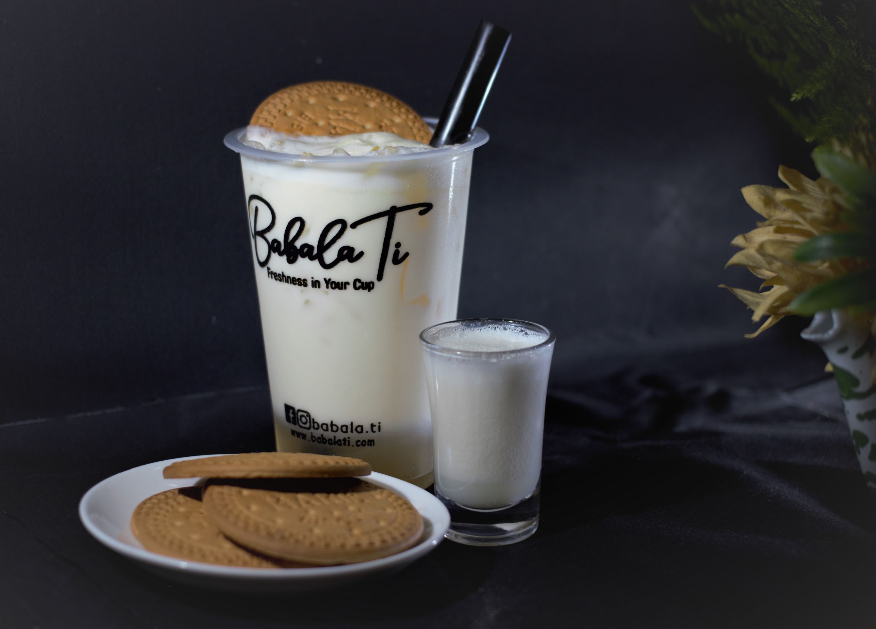Regal Fresh Milk (Large) Babalati
